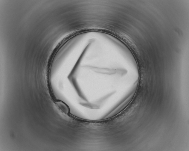 X0000113320942200910131125