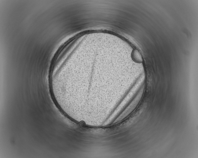 X0000113320943200910131125