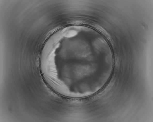 X0000113320945200910131125