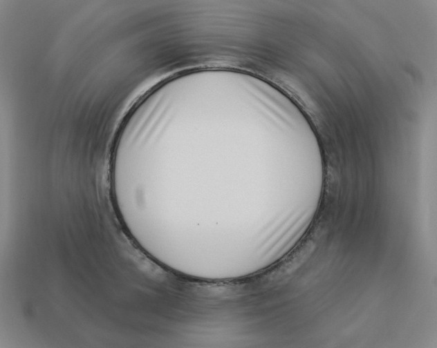 X0000113320948200910131125