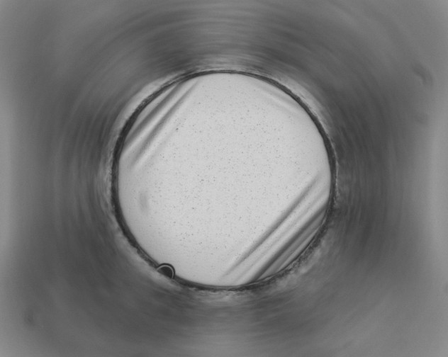 X0000113320949200910131125