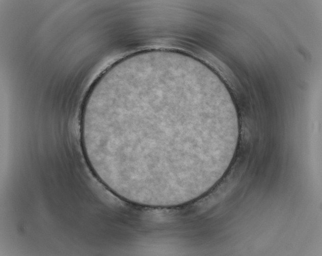 X0000113320950200910131125