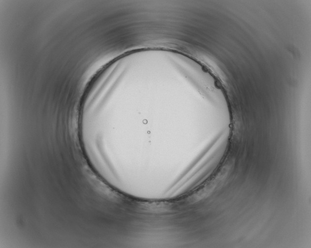 X0000113320952200910131126