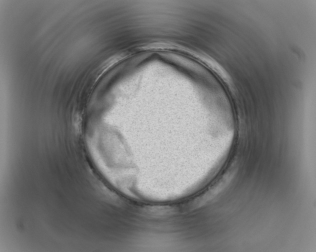 X0000113320953200910131126