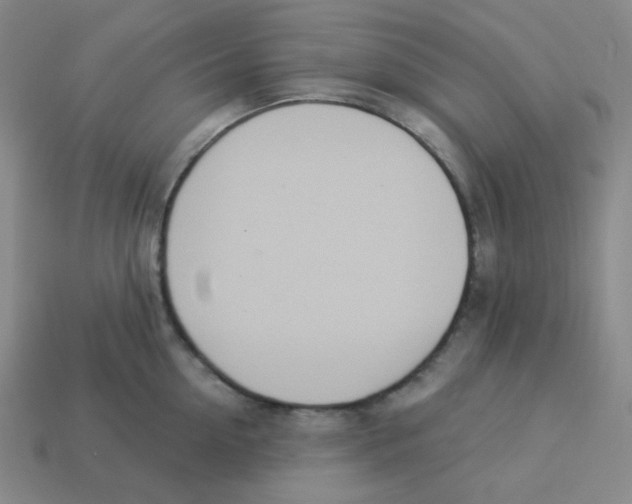 X0000113320954200910131126