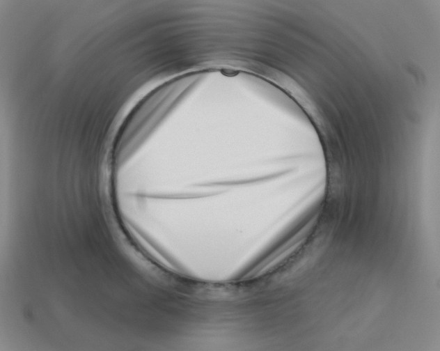 X0000113320955200910131126