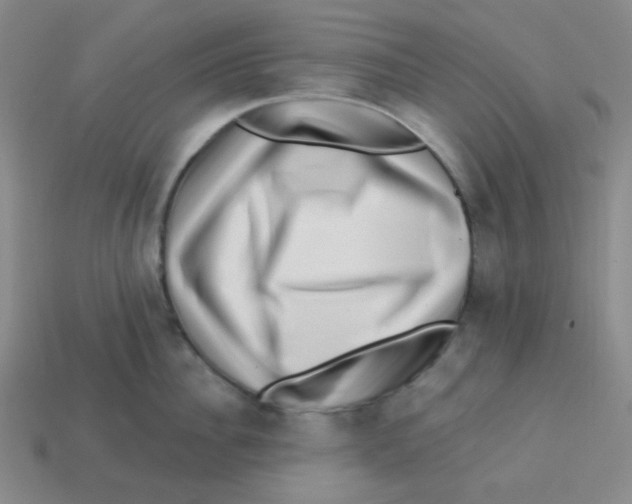 X0000113320956200910131126