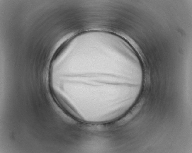 X0000113320957200910131126