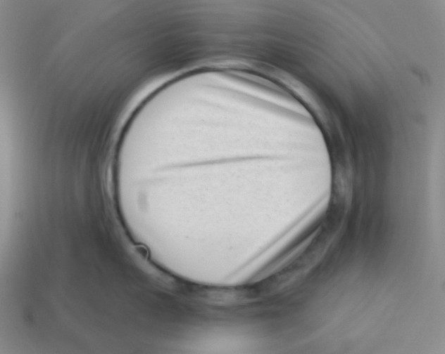 X0000113320959200910131126