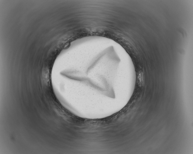 X0000113320963200910131125