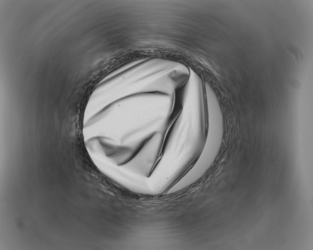 X0000113320965200910131125