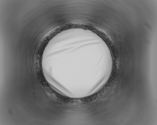 X0000113320968200910131125