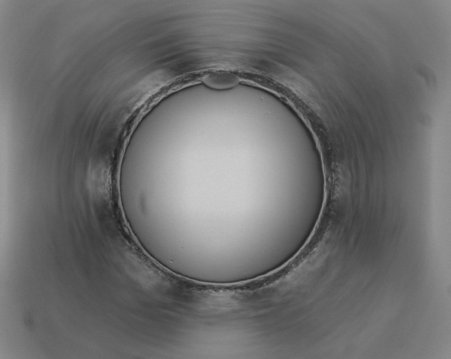 X0000113320969200910131125