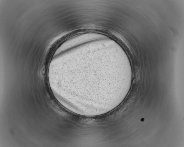 X0000113320971200910131125