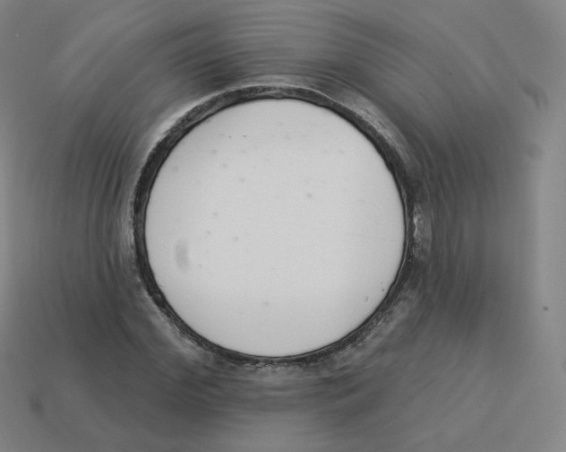 X0000113320972200910131125