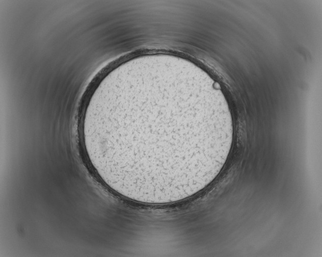 X0000113320976200910131125