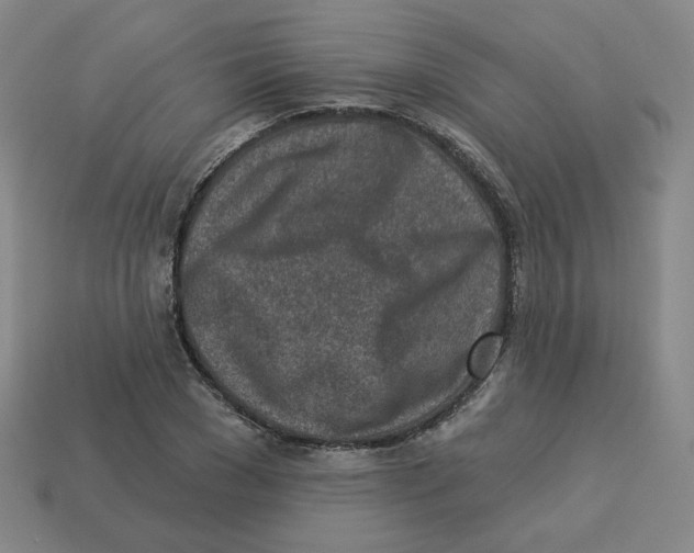 X0000113320977200910131125