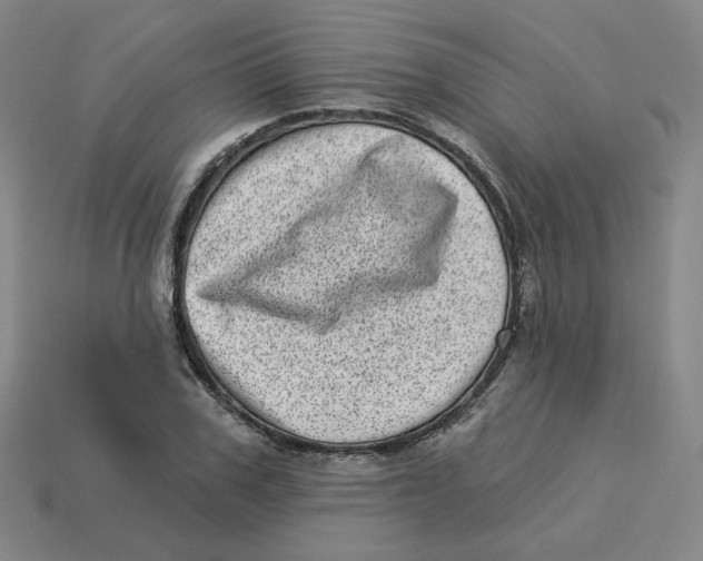 X0000113320979200910131125