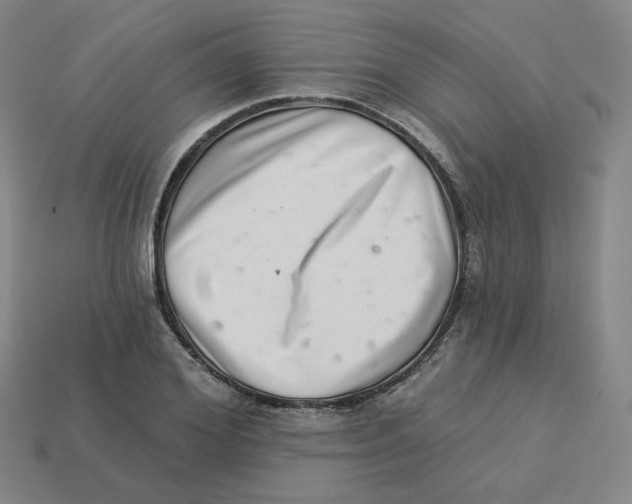 X0000113320980200910131125