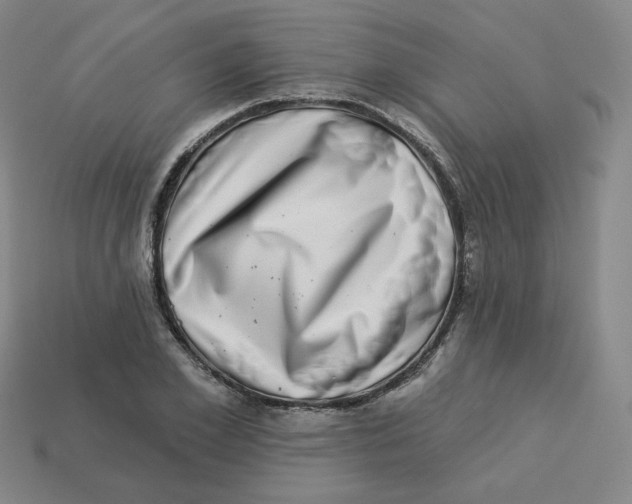 X0000113320981200910131125