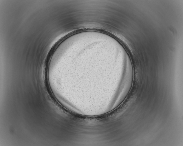 X0000113320983200910131125