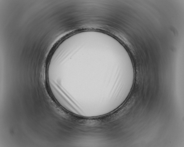 X0000113320984200910131125