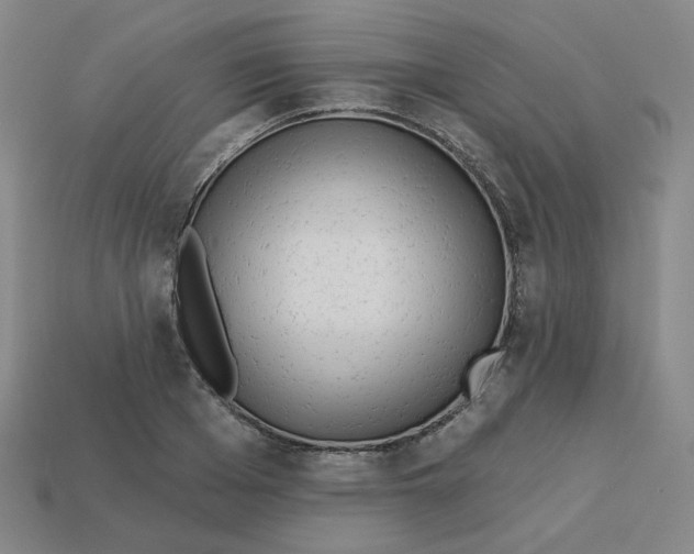 X0000113320985200910131125