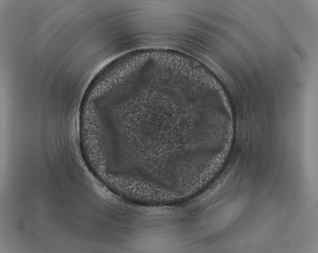 X0000113320988200910131125