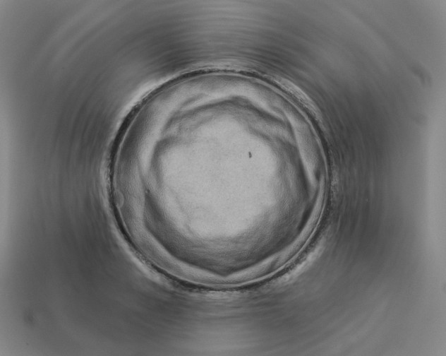 X0000113320989200910131125