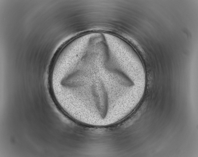 X0000113320991200910131124