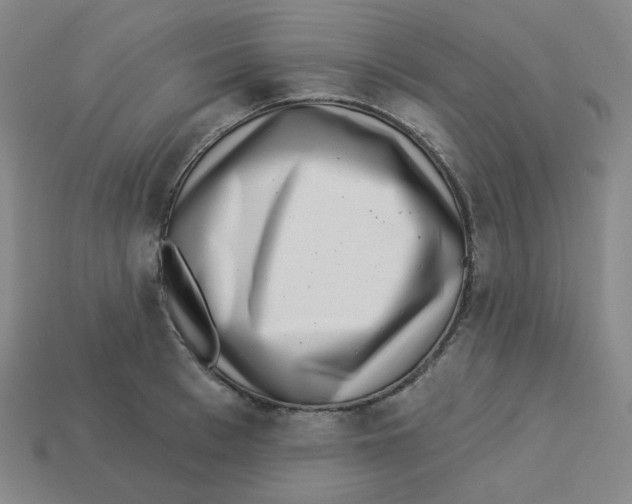 X0000113320993200910131124