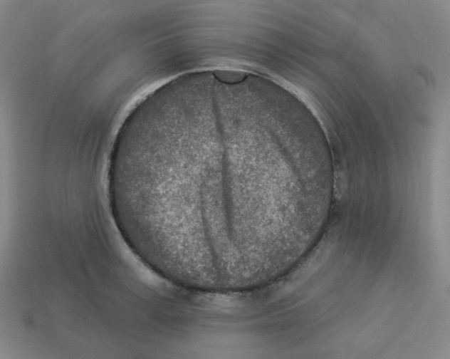 X0000113320995200910131124