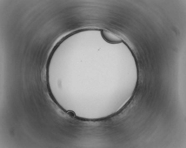 X0000113320996200910131124