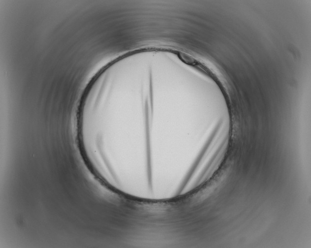 X0000113320999200910131124