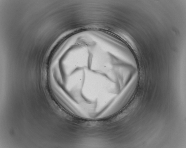 X0000113321000200910131124