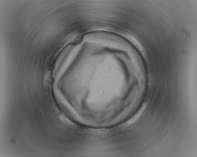 X0000113321001200910131124