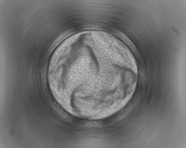 X0000113321002200910131124