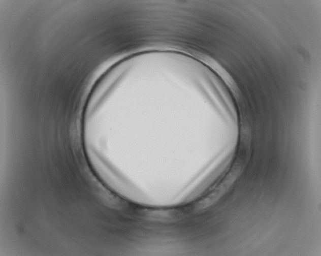 X0000113321004200910131124