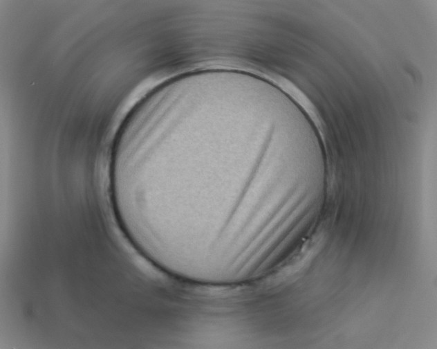 X0000113321005200910131124