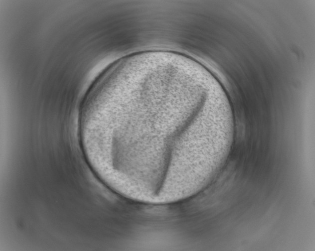 X0000113321006200910131124