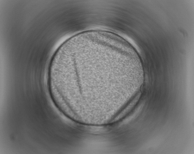 X0000113321007200910131124