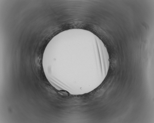 X0000113321010200910131123