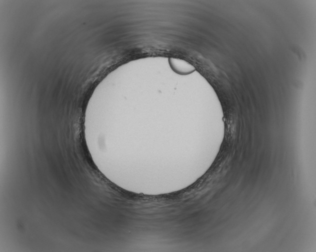 X0000113321012200910131124