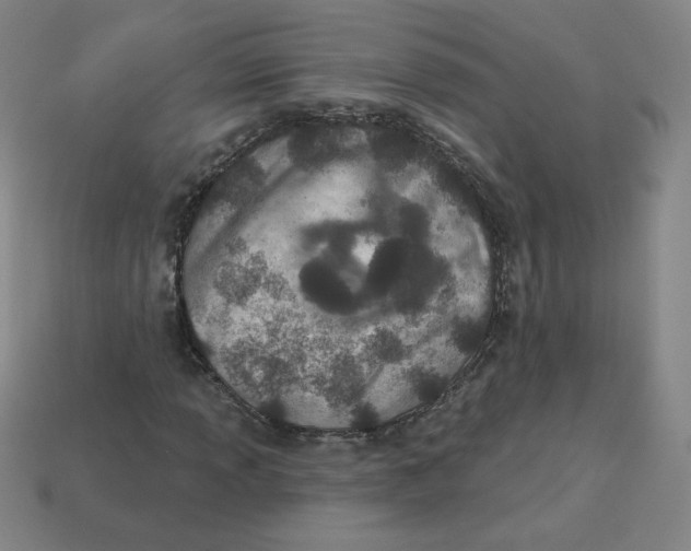 X0000113321013200910131124