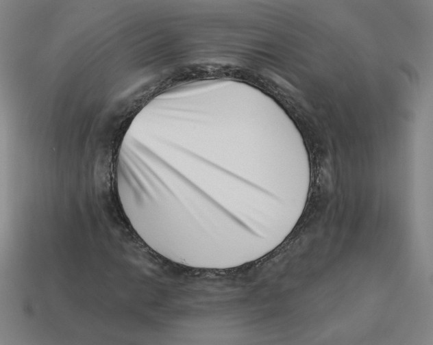 X0000113321014200910131124