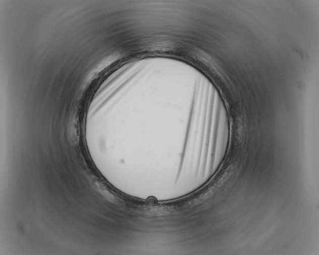 X0000113321018200910131124