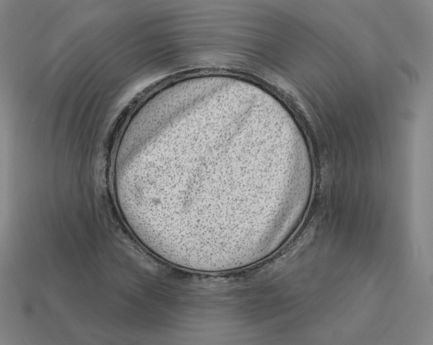 X0000113321019200910131124