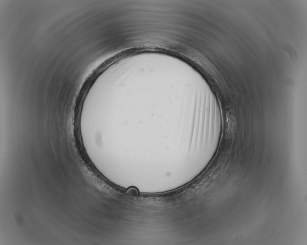 X0000113321020200910131124