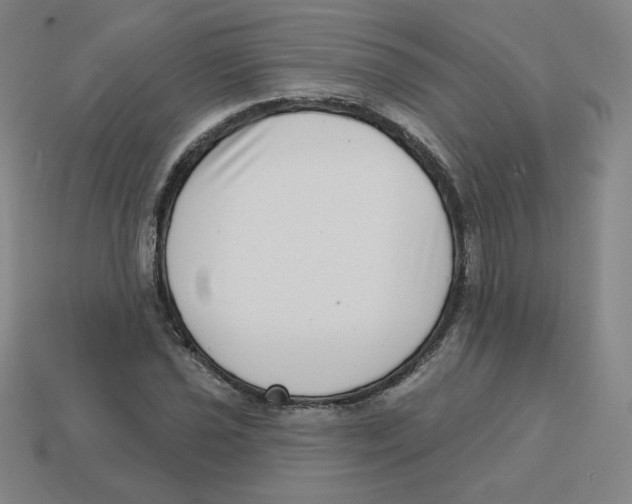 X0000113321021200910131124