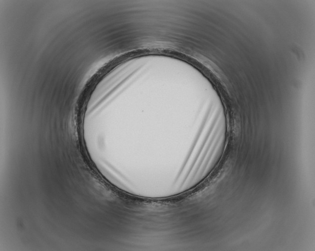 X0000113321022200910131124